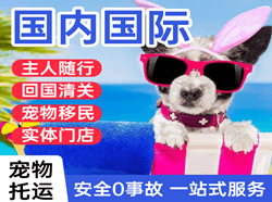 珠海金湾空运代理国际宠物托运 【国